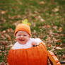 Ellia in the Pumpkin 1