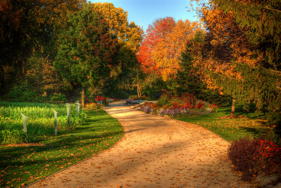 Autumn Road in WI