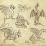 Historical Dragon Sketches