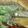 ACEO Iguana