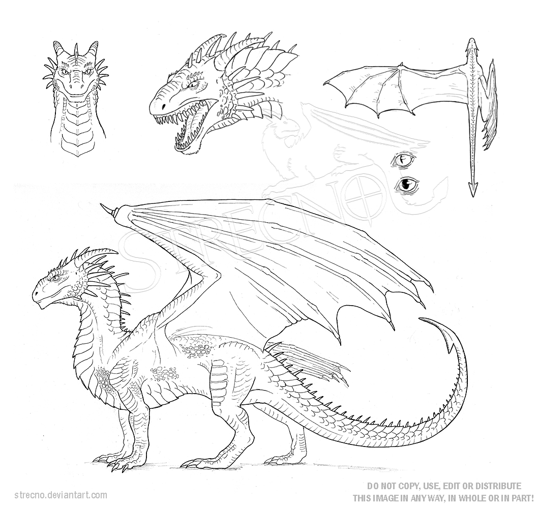 Dragon Character Sheet Template by Strecno on DeviantArt