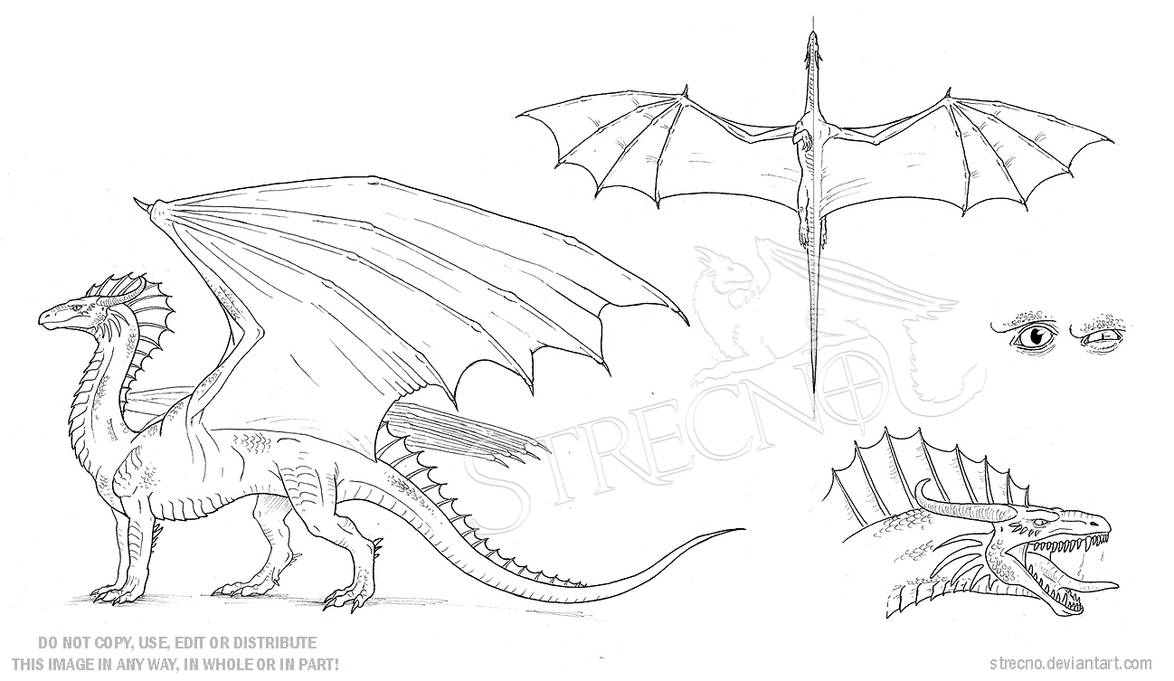 Dragon Character Sheet Template 2 By Strecno On Deviantart Dragon Character Sheet Template 2 By Strecno On Deviantart