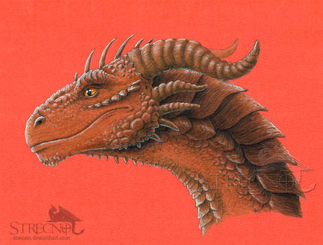 Copper-Colored Dragon Head