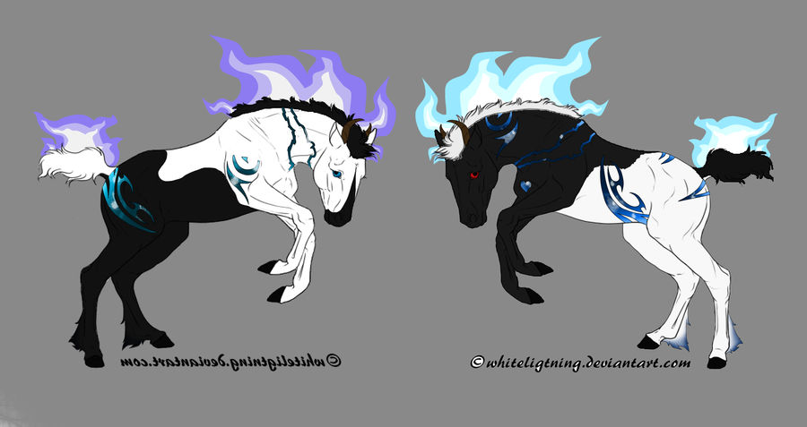 Obsidian x Schattenblume Foals