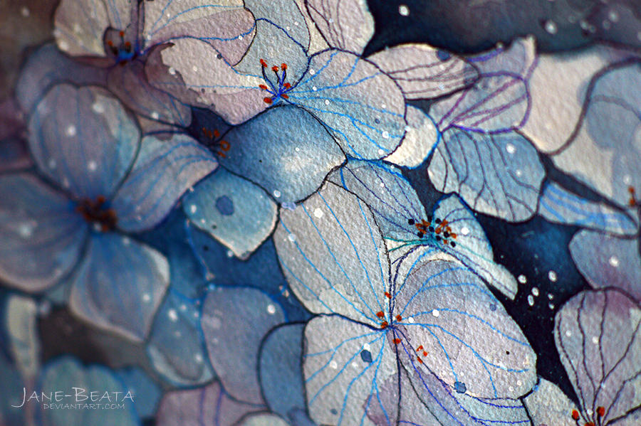 Blue hydrangea, watercolor painting - closeup by jane-beata