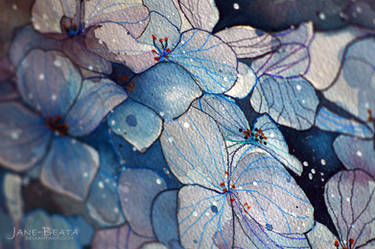 Blue hydrangea, watercolor painting - closeup