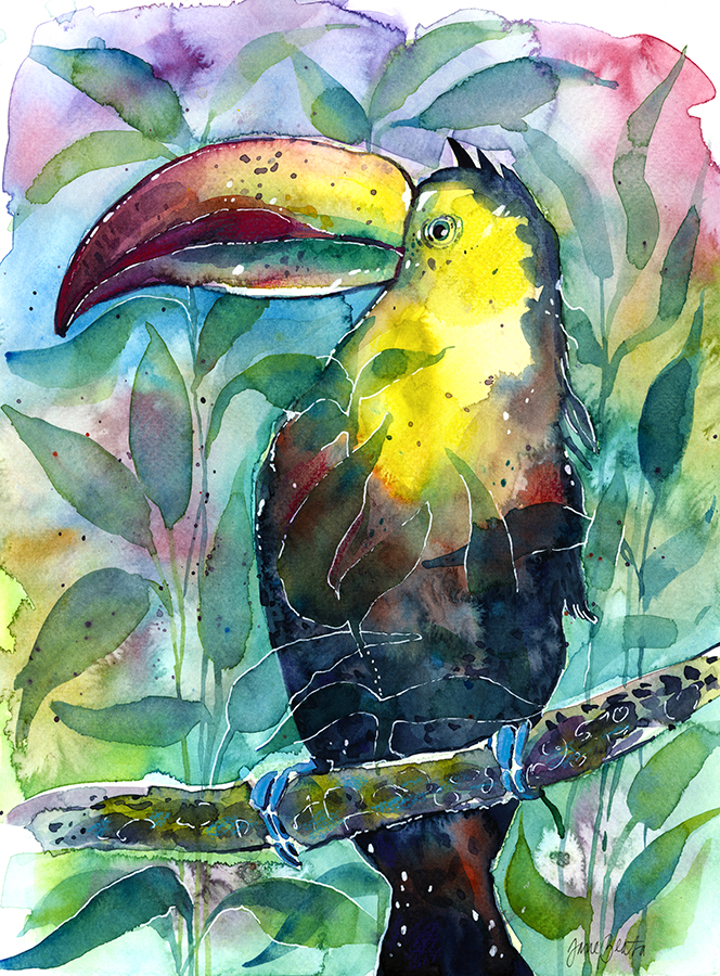 Watercolor TOUCAN painting (illustration) + video