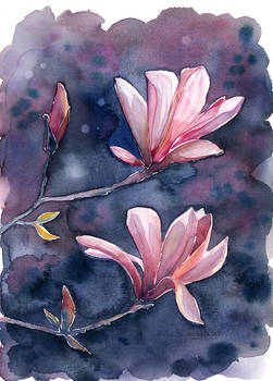 Magnolia, watercolor painting