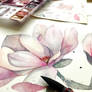 Magnolia, watercolor painting - WIP