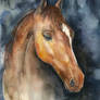 Watercolor Horse + TUTORIAL