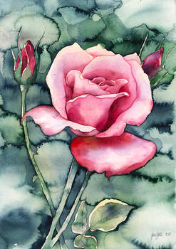 Watercolor ROSE (video-tutorial)