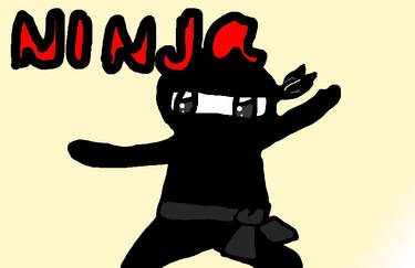 Ninja In Training