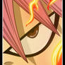 Natsu D. - Fairy Tail -