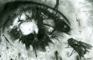 Eye of Decay