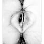 forbidden fruit