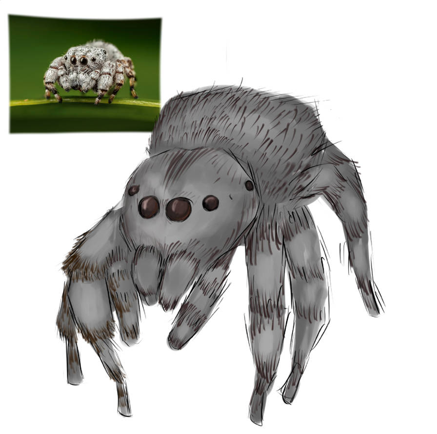 Deviantart Spider Avatar Spider by Rusaan29 on DeviantArt