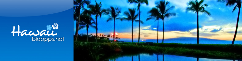 hawaii header