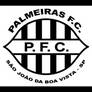 Palmeiras de Sao Joao da Boa Vista