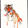 Tiger2 Water Color