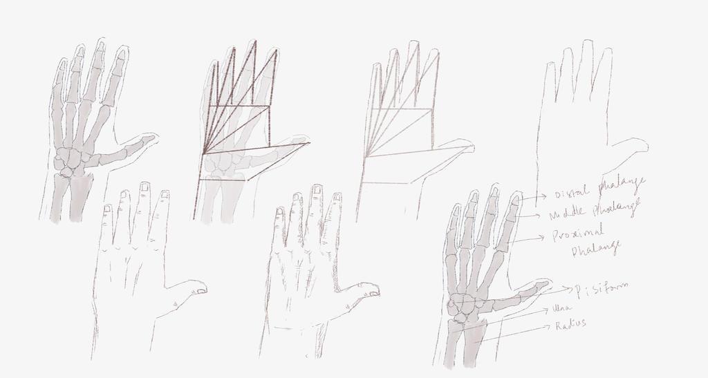 steps to drawing a hand steps to drawing a hand