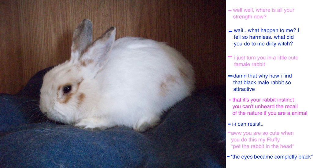 Tf Small Rabbit Simple rabbit tf (Old) by hikens on DeviantArt