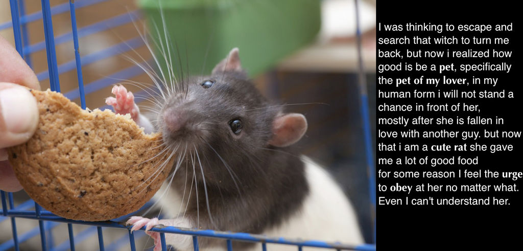 Pet Rat TF Cap by hikens on DeviantArt