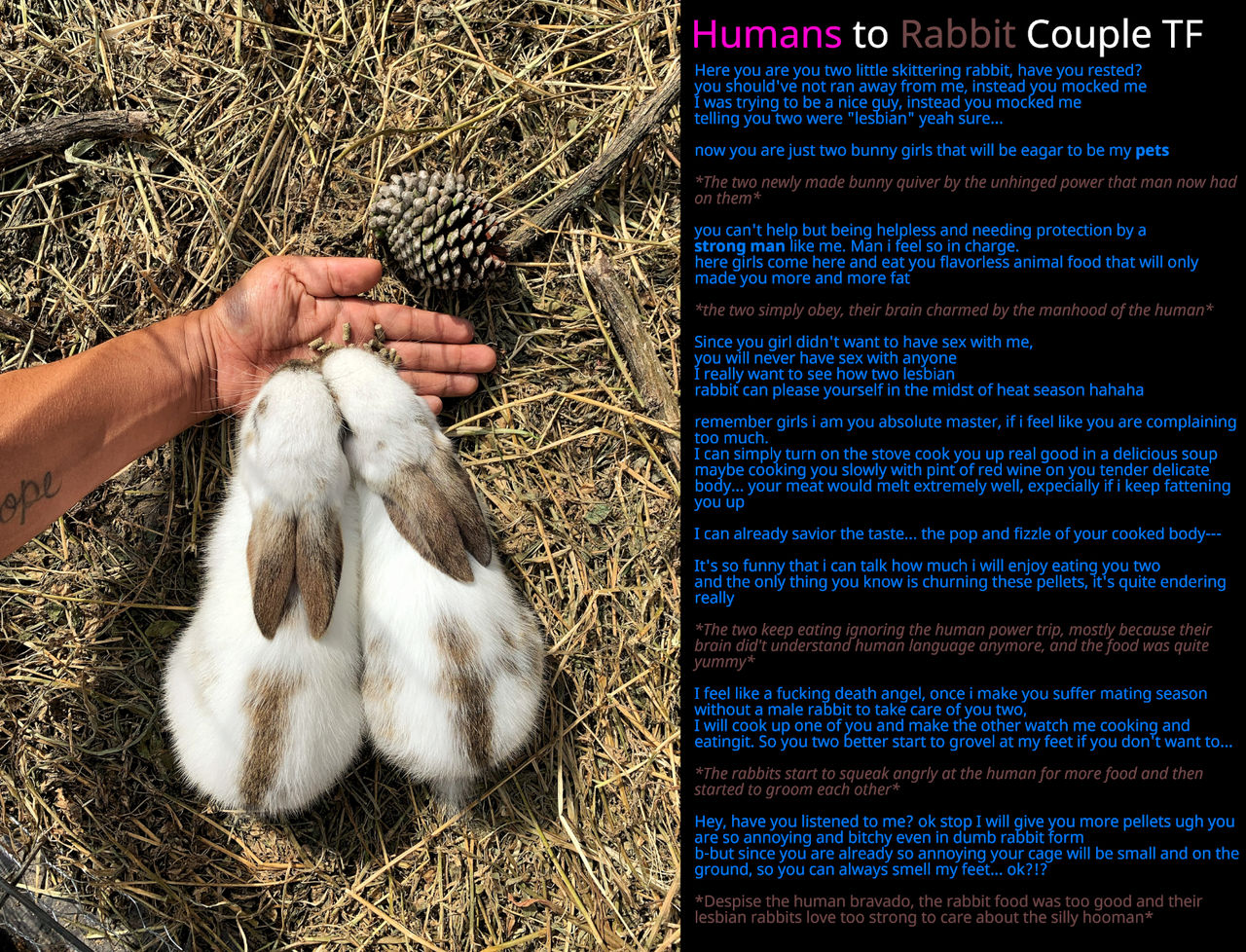 What's Human Rabbit Humans To Rabbit Couple TF by hikens on DeviantArt