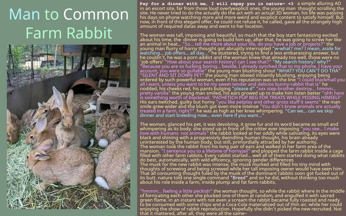 Man to Common Farm Rabbit TF CAP by hikens on DeviantArt