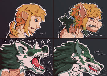 Wolf Link TF Sequence
