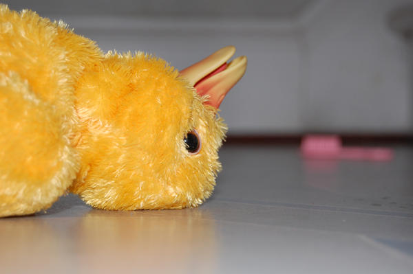 Poor Duck by SamCampbell on DeviantArt
