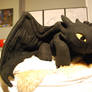 Toothless Dragon Plushie