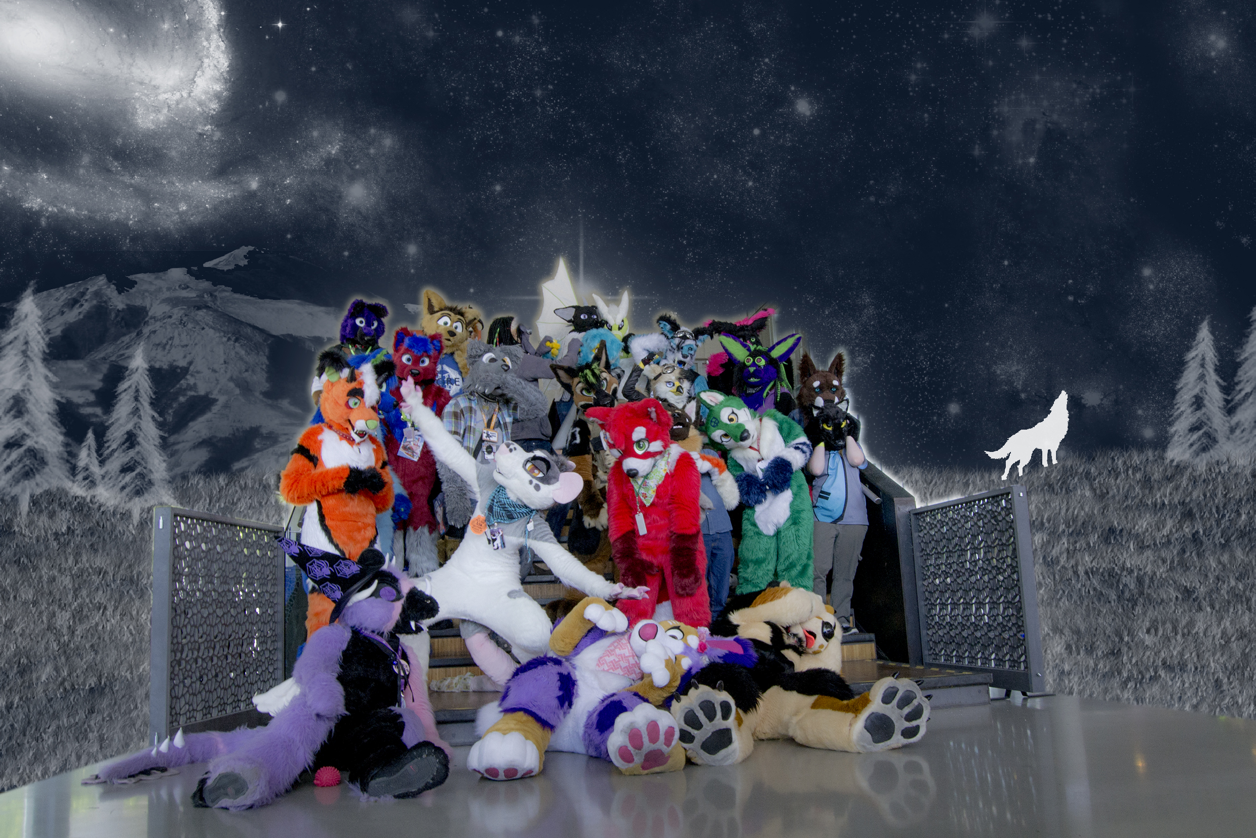 Fursuit photoshoot desucon 10