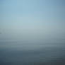 Ripples on still sea