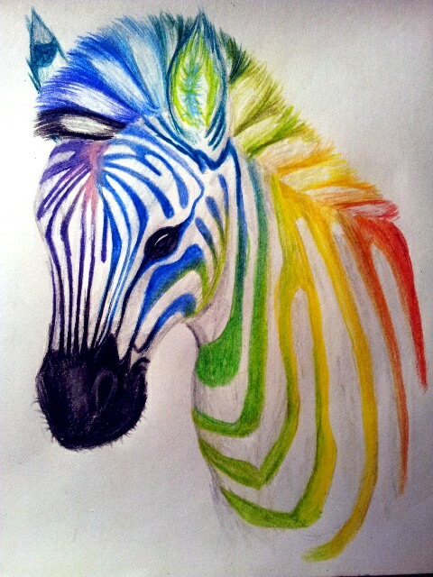 Rainbow zebra