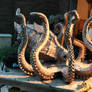 Octopus Process 16