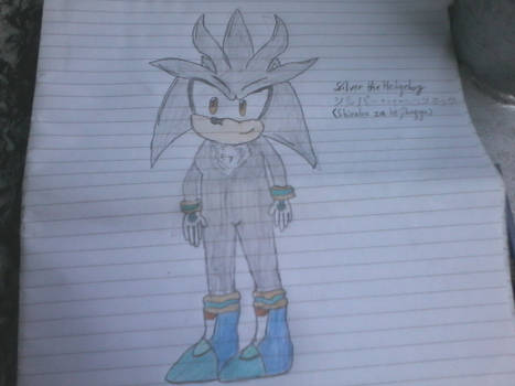 Silver the Hedgehog