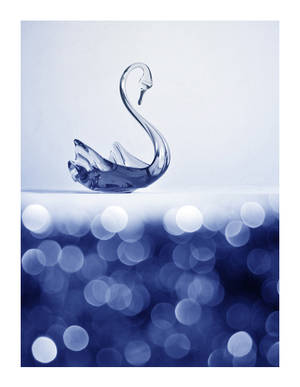 Swan by Kirill-Puchkov Swan by Kirill-Puchkov