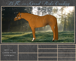 BTE WBS Good Ride Cowboy by Beyond-The-Embers