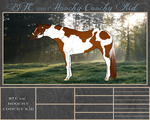 BTE WBS Hoochy Coochy Kid by Beyond-The-Embers