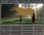 BTE WBS Play Somethin' Country by Beyond-The-Embers