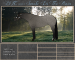 BTE WBS Smoke In The Rain by Beyond-The-Embers