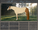 BTE WBS Strip Tease by Beyond-The-Embers
