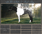 BTE WBS Pink Slip - SOLD to Renegade-Ranch by Beyond-The-Embers