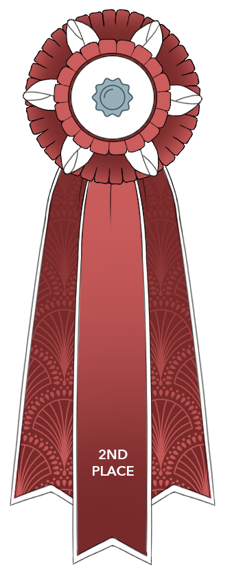 2nd Place Ribbon by Beyond-The-Embers on DeviantArt