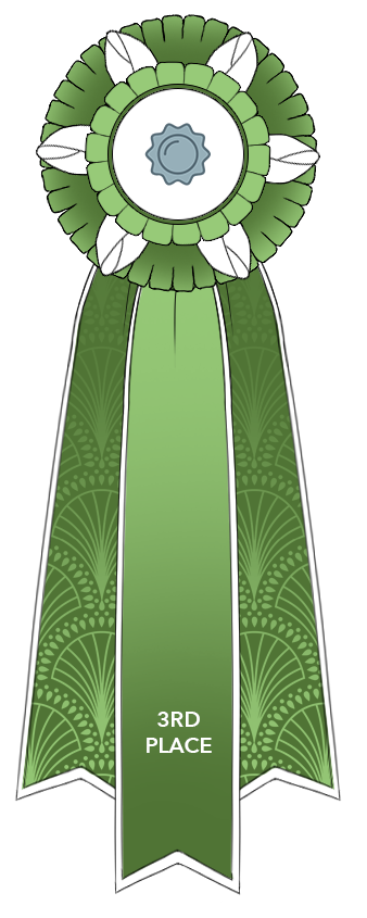 3rd Place Ribbon by Beyond-The-Embers on DeviantArt