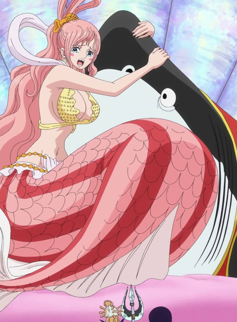 Shirahoshi One Piece Ep 777 By Berg Anime On Deviantart Shirahoshi One Piece Ep 777 By Berg Anime On Deviantart