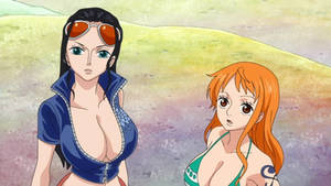 Nico Robin and Nami - One Piece