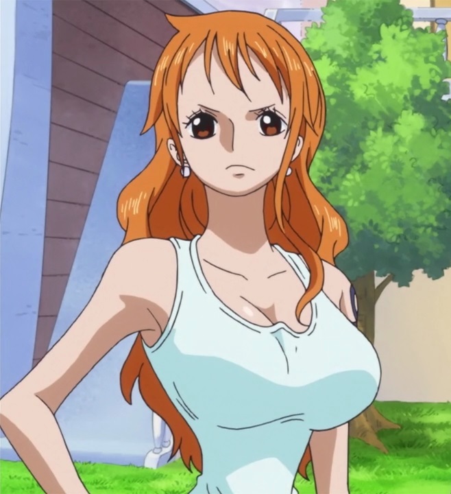 Nami and Otama - One Piece ep 1050 by Berg-anime on DeviantArt