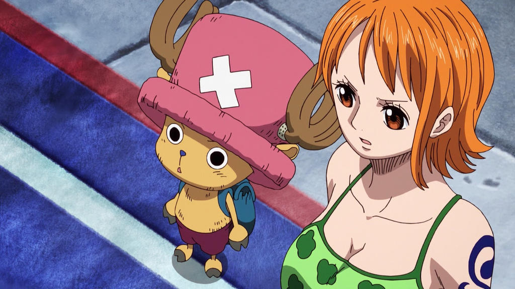 Nami and Chopper - One Piece ep 1073 by Berg-anime on DeviantArt