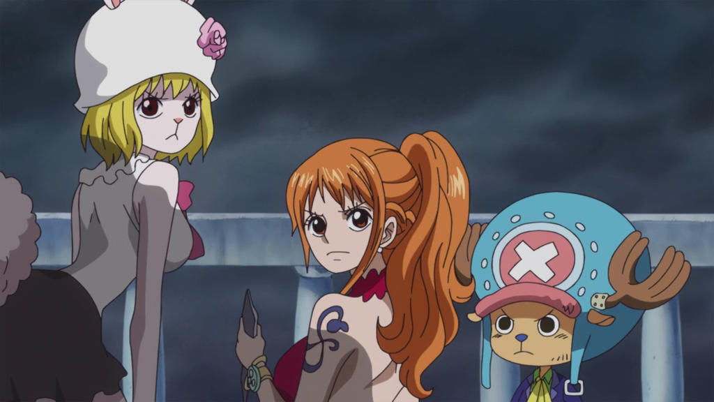 Carrot, Nami and Chopper - One Piece ep 853 by Berg-anime on DeviantArt
